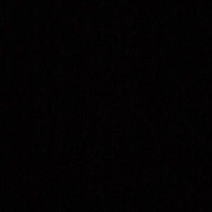 Meet your Posher, Maggie